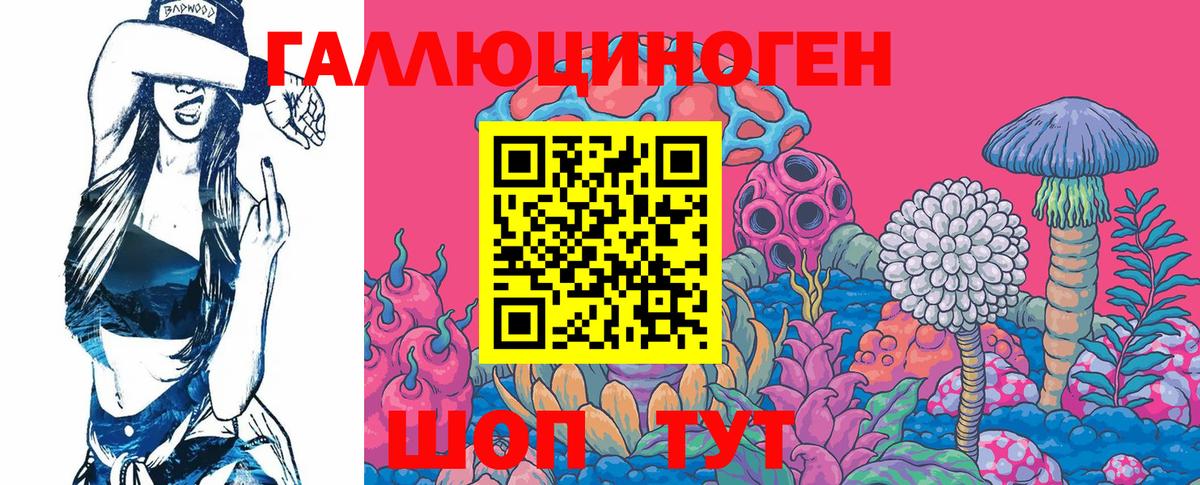 Галлюциногенные грибы Cubensis Ефремов